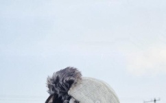 男人硬起来又大又粗